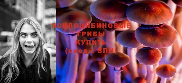 а пвп мука Белокуриха