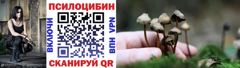 Псилоцибиновые грибы GOLDEN TEACHER  mega онион  Балей 